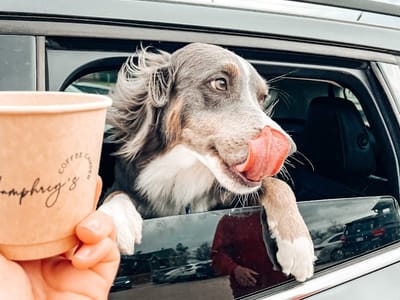 Humphrey's Coffee Camper