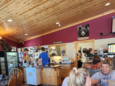 Hungry Bear - Cafe & Catering