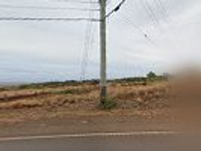 HungryDogCoffee–Maui