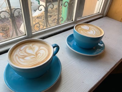 Iconik Coffee Roasters, Lupe