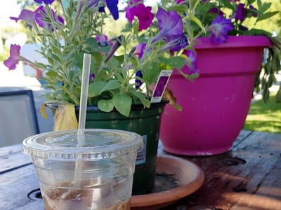 In Hot Water Coffee Shop