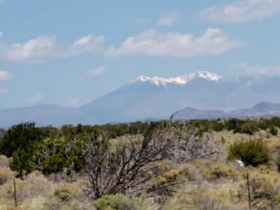 Indulgence Coffee Bar