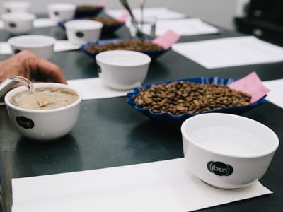 Infusion Coffee & Tea Crafters