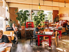 International Coffee Traders