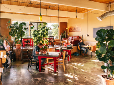 International Coffee Traders