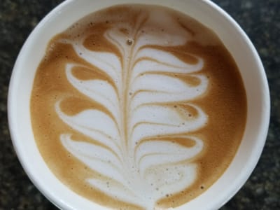 Into the Brew Espresso