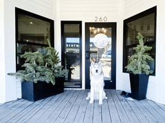 Inversion Yoga, Pilates, and Cafe