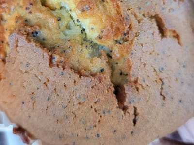 Iowa Coffee Cup LLC. Mobile Coffee Business