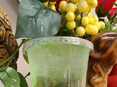 Iries place HOLLAMAN AFB