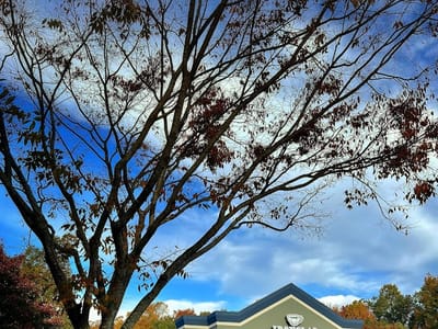 Ironclad Coffee Roasters & Baking Co., West End