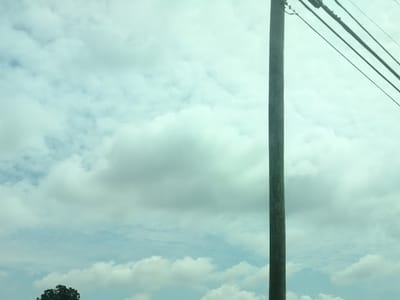 Irving College Market