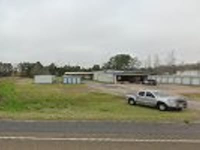 It's the Bee's Knees Bubble Tea and Pizza