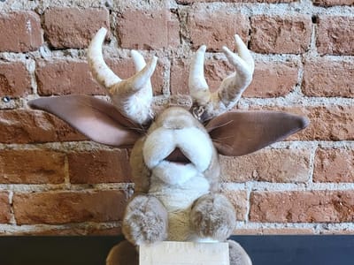 Jackalope Java