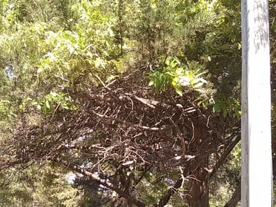 Jane Willis Community Center