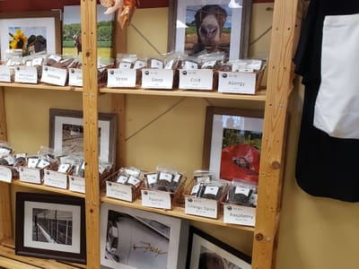 Java Dog Coffee & Tea