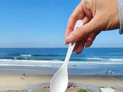 Java Earth Coffee North PB