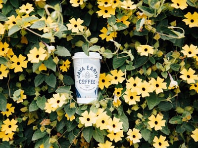 Java Earth Coffee North PB