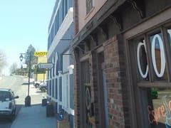 Java Jungle & Tropical Tan