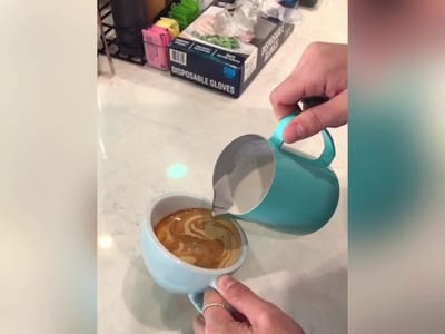 Java Owl Coffee House