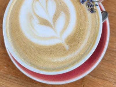 Java Owl Coffee House