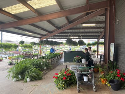 Joplin Greenhouse and the Coffee Shop