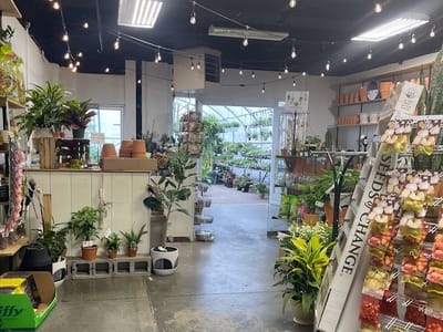 Joplin Greenhouse and the Coffee Shop