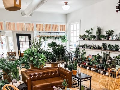 Jubilee Plants and Gathering