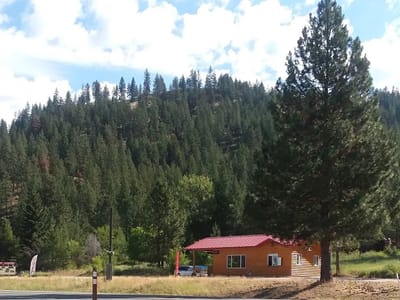 Judy’s Java and more