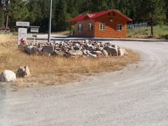 Judy’s Java and more