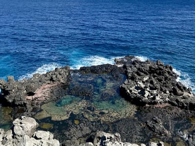 Julia's Banana Bread and more