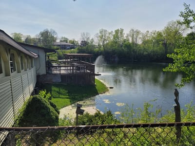 Julie's Cafe & Catering