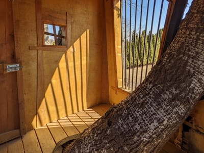 Jumble Coffee Co. Asbury