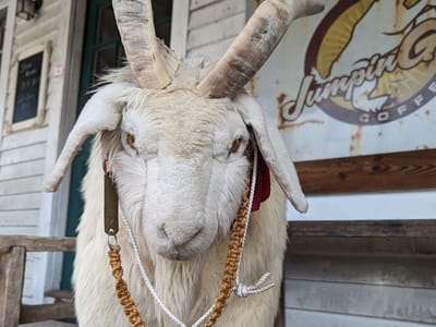 JumpinGoat Coffee Roasters