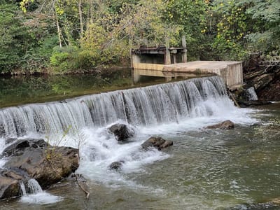 JumpinGoat Coffee Roasters