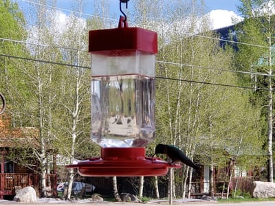 Jumpstart Coffee and Tea