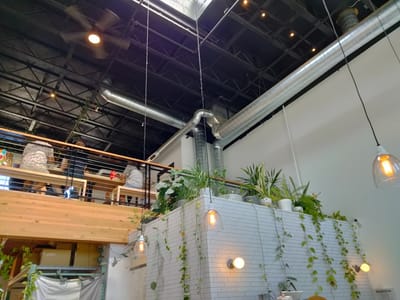 Junior's Roasted Coffee