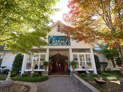 Just Divine Tea Room