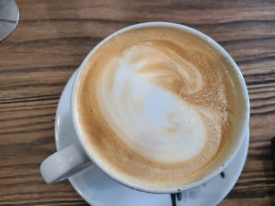 Just Love Coffee Cafe - Spring Hill