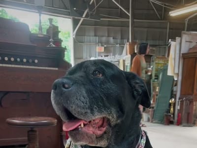 Kafe Neo Espresso Bar