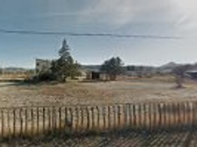 Kagan’s The Big Dog