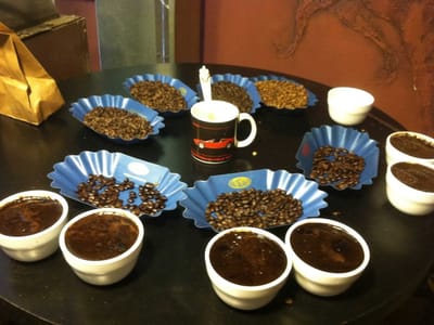 Kaladi Coffee Roasters