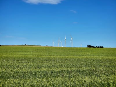 Kansas Originals Market