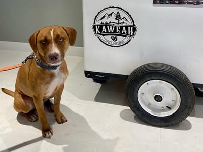 Kaweah Coffee Roasters