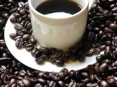Kempton Coffee, LLC