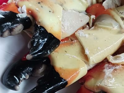 Key Largo Fisheries Backyard Cafe