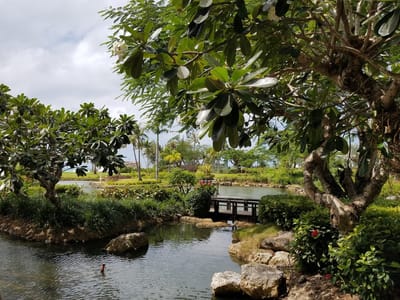 Kili Café & Terrace