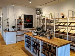 King's Gambit Coffee Co.