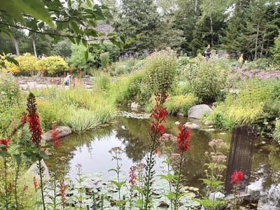 Kitchen Garden Café