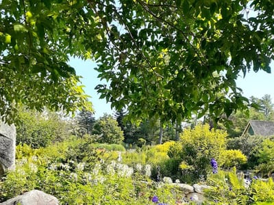 Kitchen Garden Café