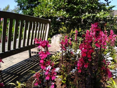 Kitchen Garden Café